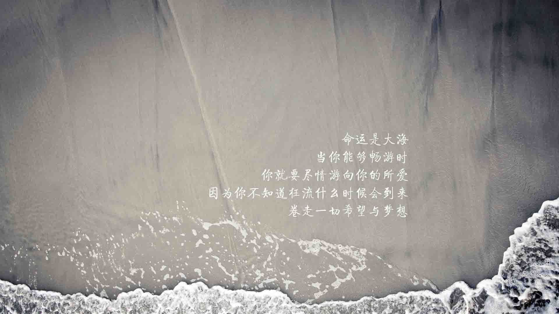 弗赖堡年轻锋线崭露头角，弗赖堡队徽是什么鸟