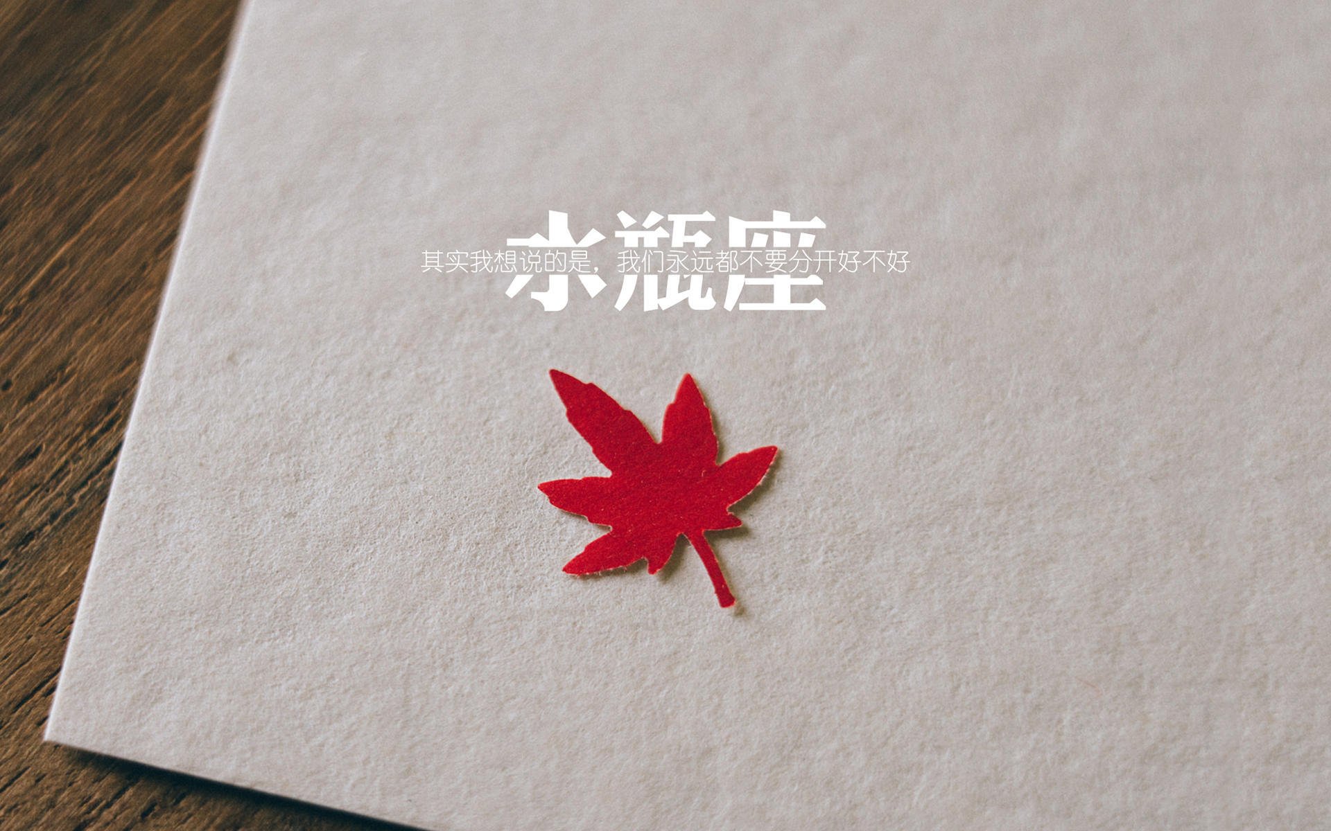 独特粉丝文化：不同国家的狂热展现