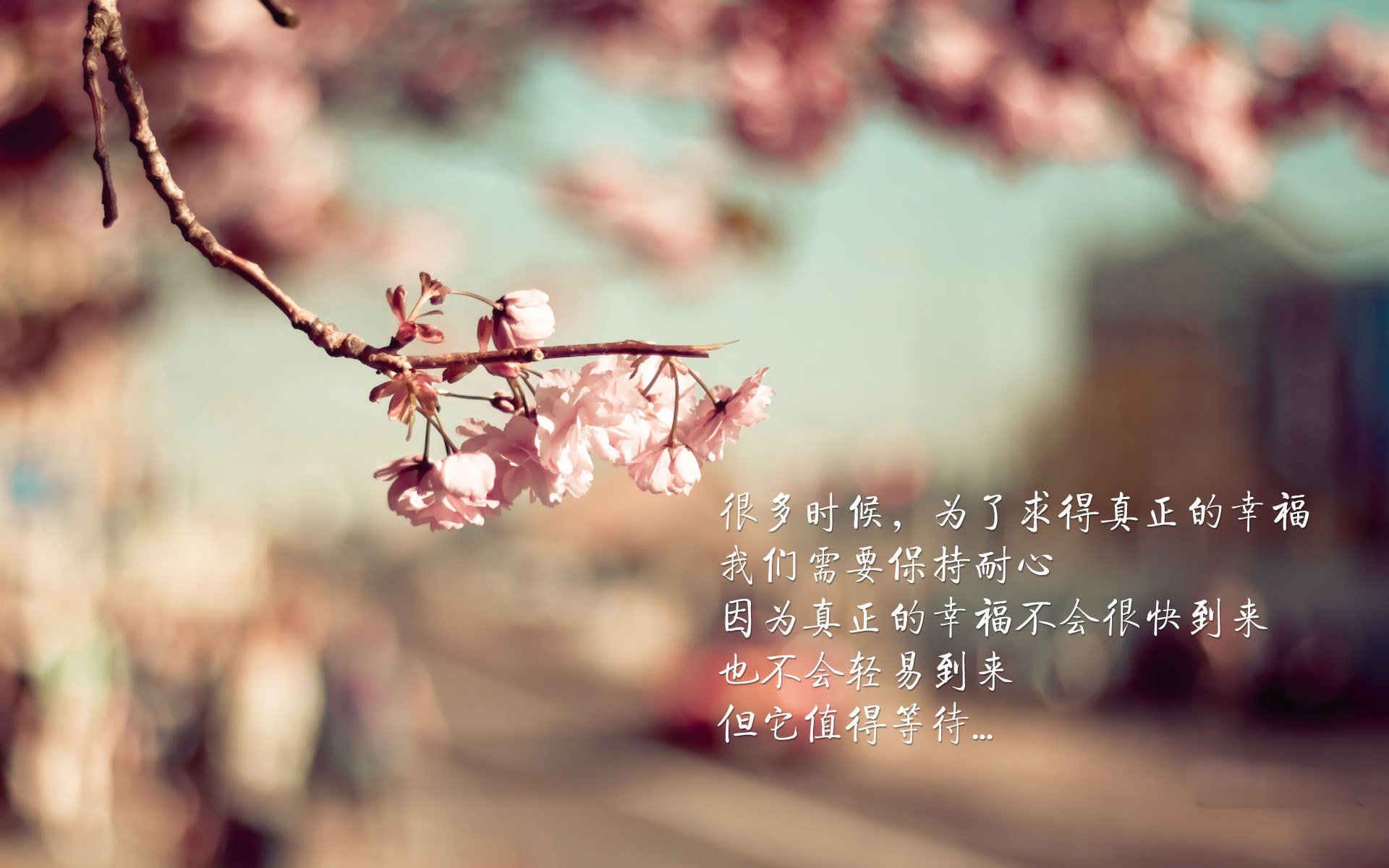 kaiyun开云·官方网站-国内足球联赛球队轮番换阵，比赛局势扑朔迷离，中国足协转会窗口